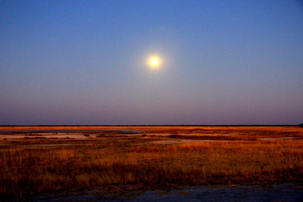 Magnificent Moonrise in Botswana