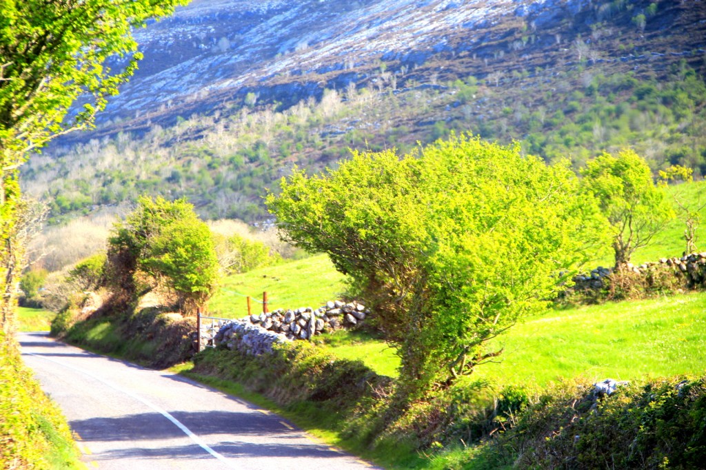 Scenic Coastal Drive of Galway Bay