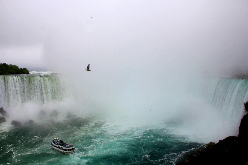 Finally my 4th attempt after maid of the mist - Horseshoe Falls