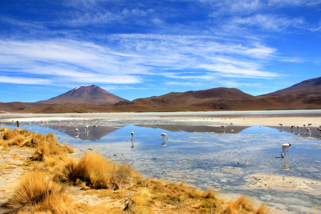 Altiplano, Bolivia