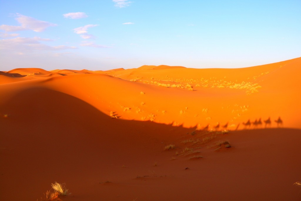 See the shadow of us traveling through the great Sahara Desert!