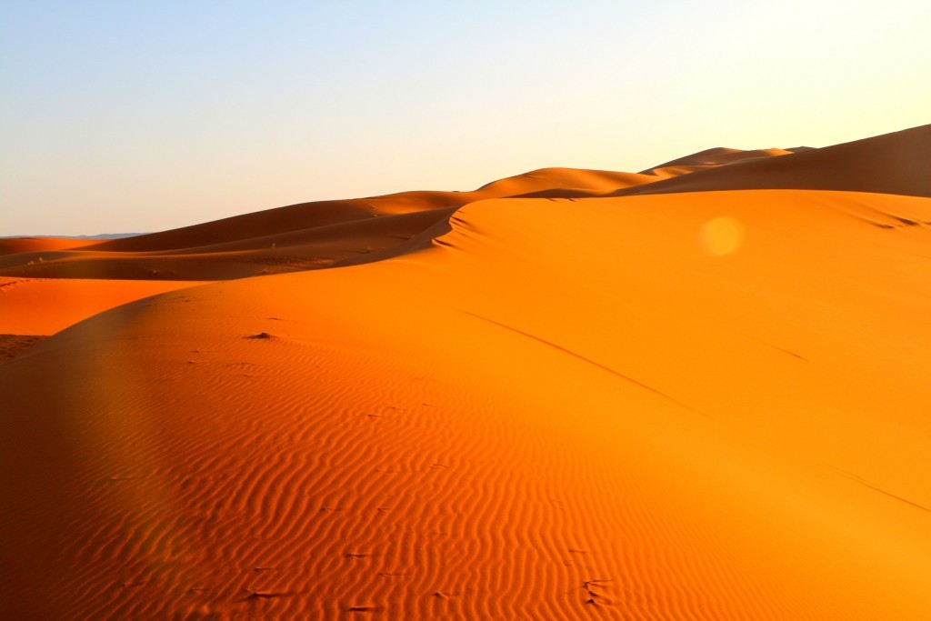 Journey to the Sahara Desert
