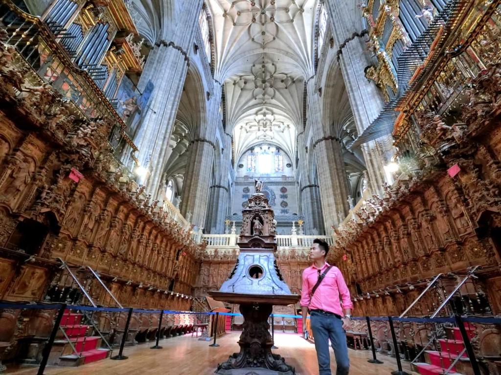 New Cathedral Salamanca