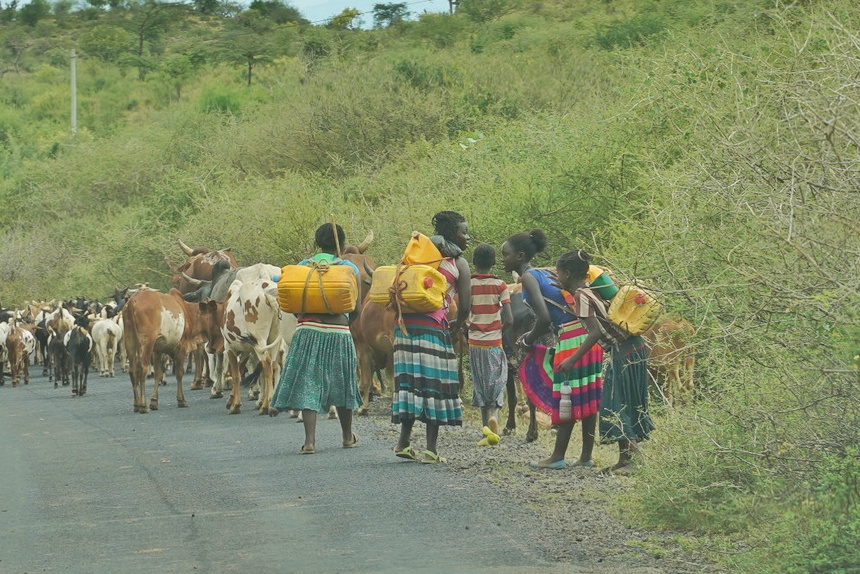 Ethiopian tribe women fetching water